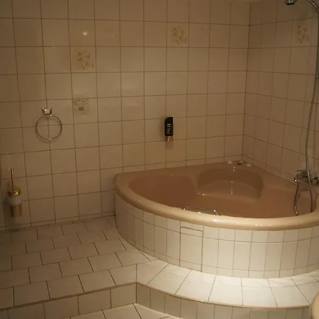 מלון Hotel Draschwitz Draschwitz