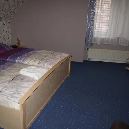 Hotel Draschwitz מלון