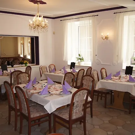 Hotel Draschwitz Hotel 3*