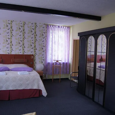 Hotel Hotel Draschwitz 3*