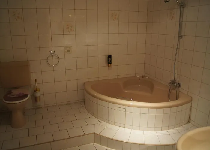 Hotel Hotel Draschwitz Draschwitz