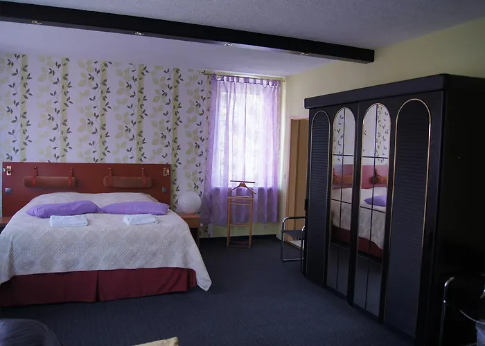 Hotel Hotel Draschwitz 3*